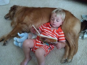 IMG_20130717_160327_971